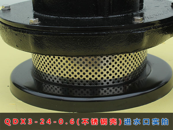 QDX3-24-0.6（不銹鋼殼）進(jìn)水口實(shí)拍